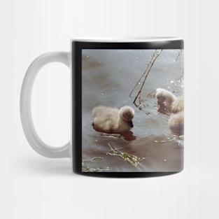 Baby Swans. Mug